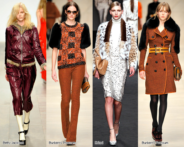 ������ ��������� �����-���� 2011/12