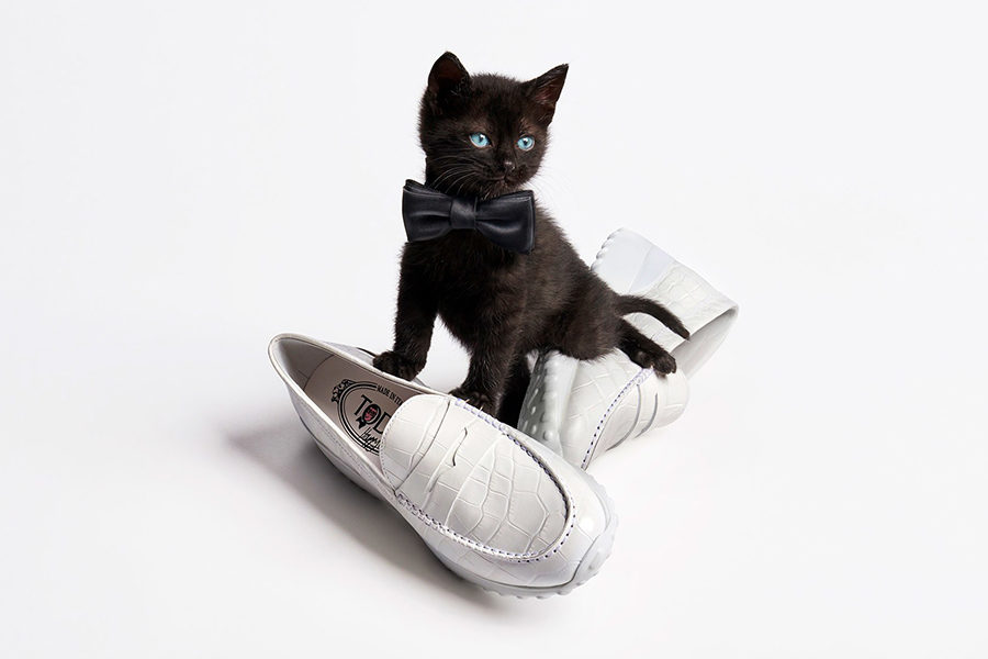 ������ � ��� ����� �����: ������ ������ ������� ���������� ��������� ��� Tod\'s