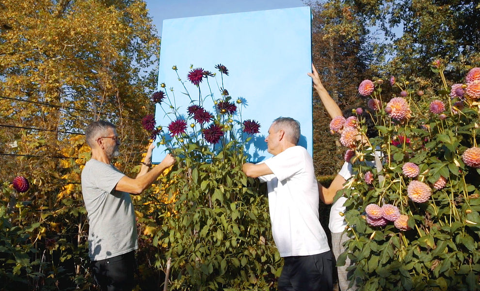 ����������, ��� ���� ��� ����� �������� ������ ��� ������-������ ��������� � ����������� ����