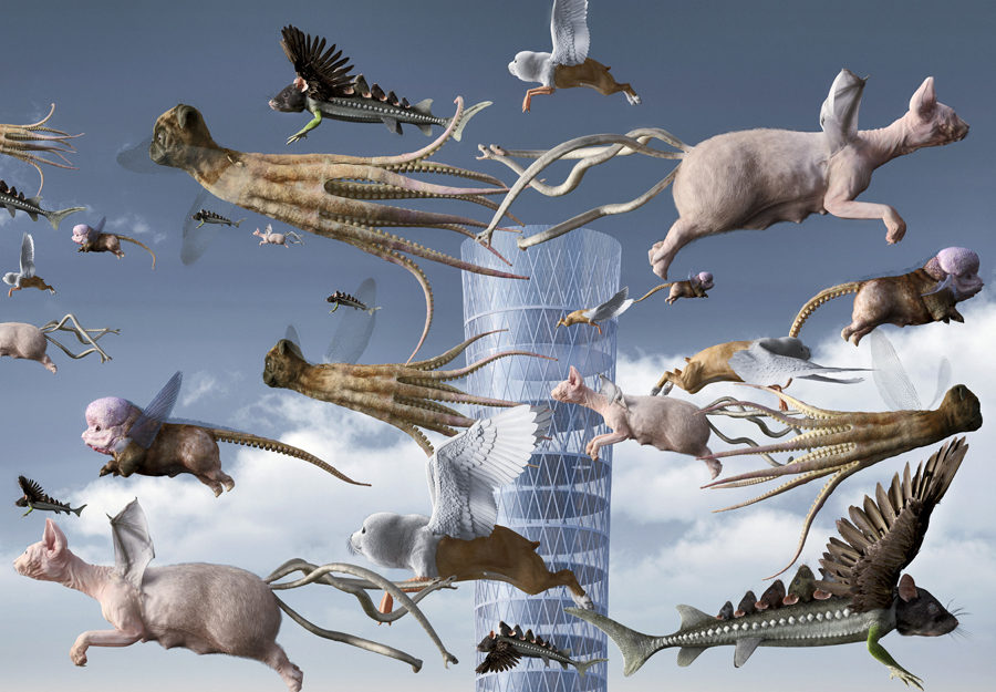 ������ ����� ����� � ��������� ���� �������� AES+F