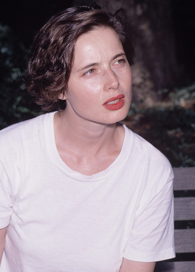 5 �������� ������� ������ ��-����������